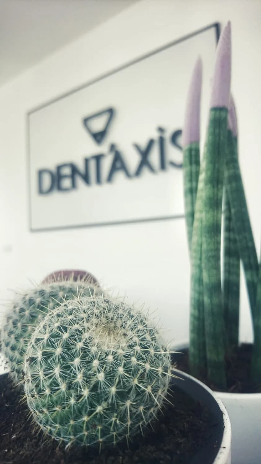 Dent’Axis Ağız ve Diş Sağlığı Polikliniği klinik kapak fotoğrafı